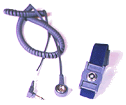 Static Data Dual Re-Band & Coil Cord